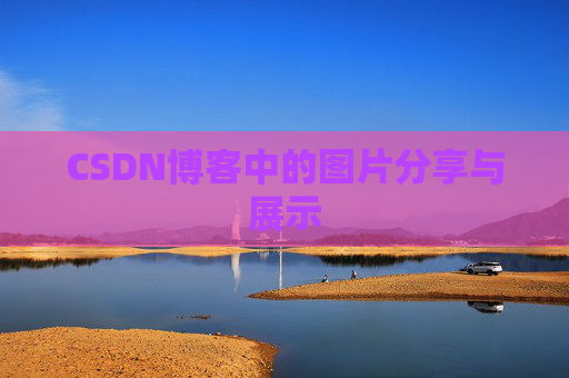 CSDN博客中的图片分享与展示
